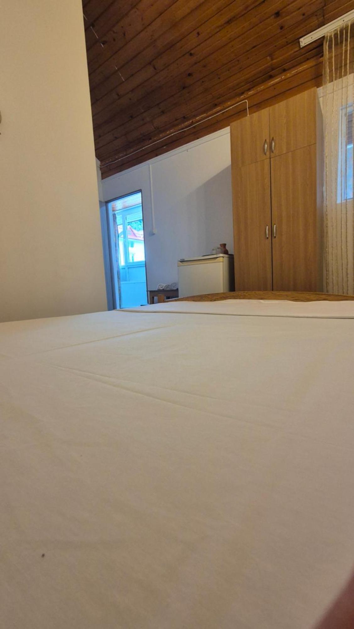 Vila Crinilor Călimăneşti エクステリア 写真
