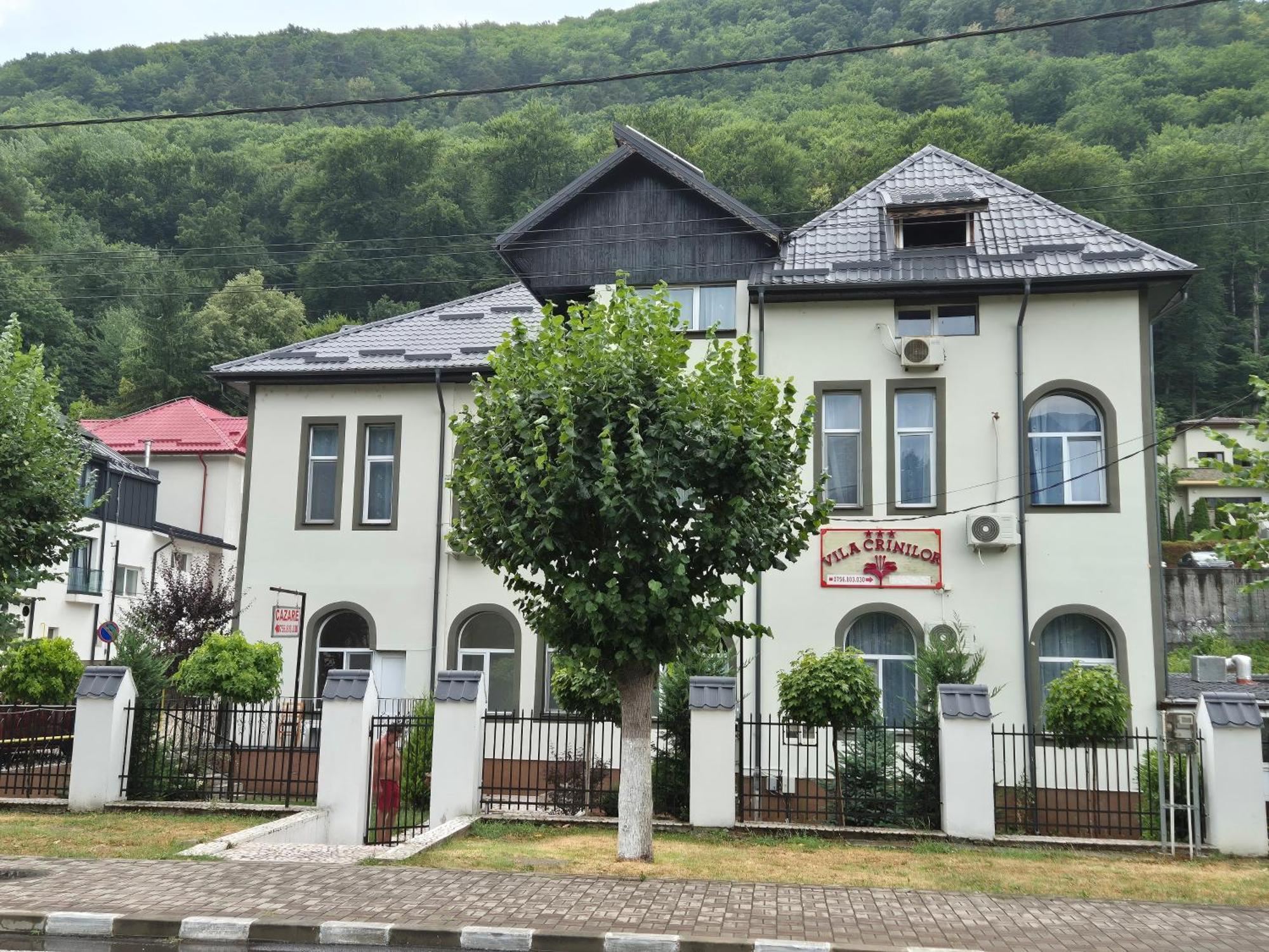 Vila Crinilor Călimăneşti エクステリア 写真