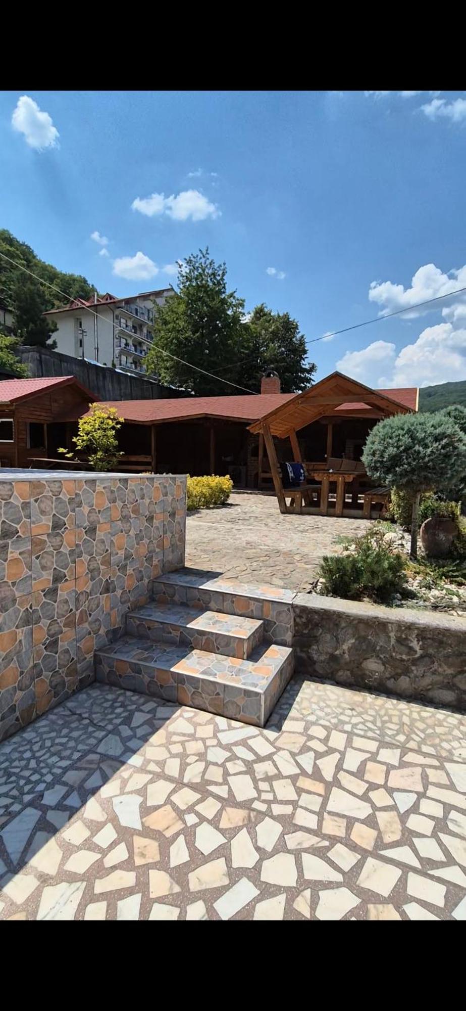 Vila Crinilor Călimăneşti エクステリア 写真